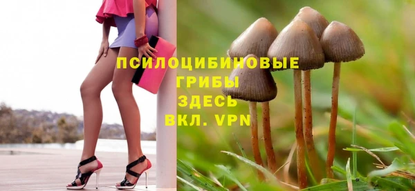 сатива Балахна