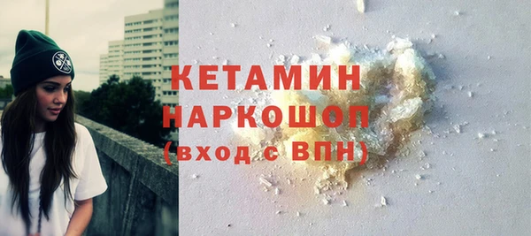 сатива Балахна