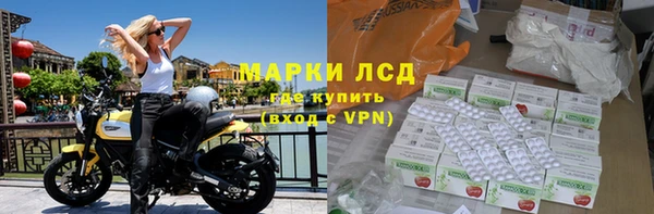 сатива Балахна